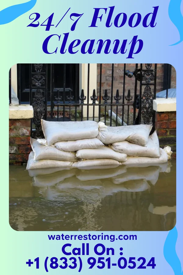 24/7 Flood Cleanup in Hambleton, WV