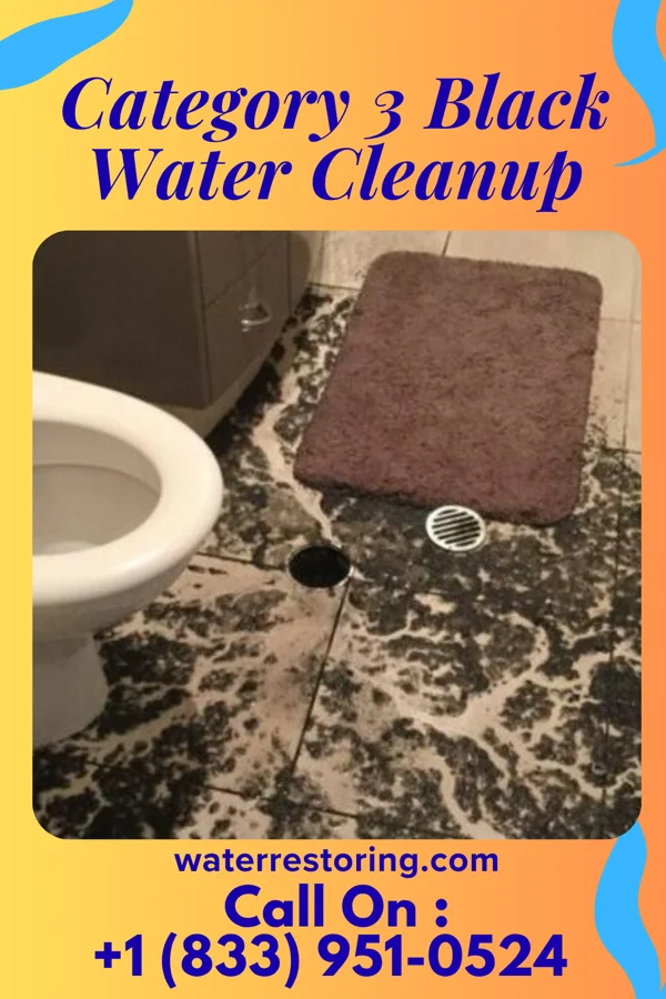 Category 3 Black Water Cleanup in Hambleton, WV