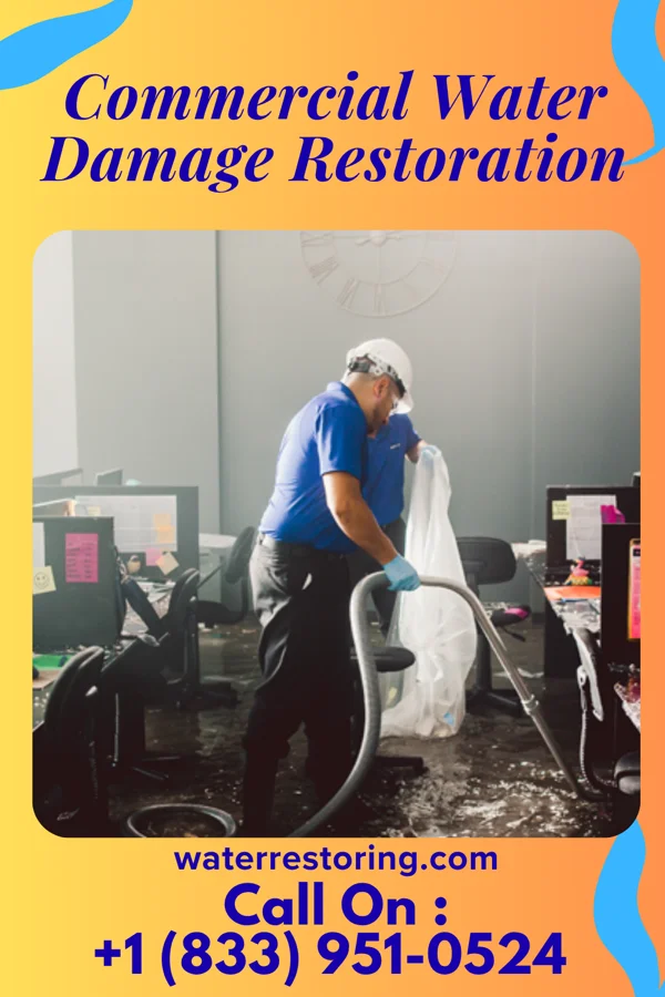 Commercial Water Damage Restoration in Hambleton, WV