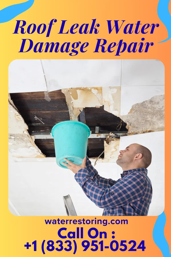 Roof Leak Water Damage Repair in Hambleton, WV