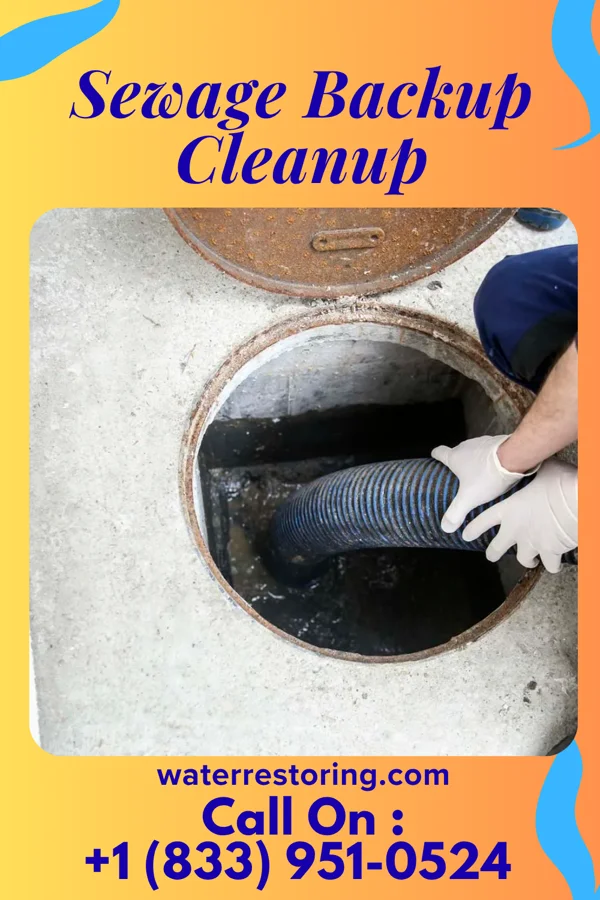 Sewage Backup Cleanup in Hambleton, WV