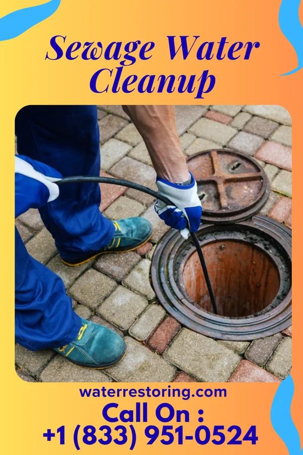 Sewage Water Cleanup in Hambleton, WV